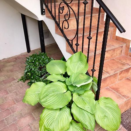 Apartmany U Vavrince Sušice Exterior foto