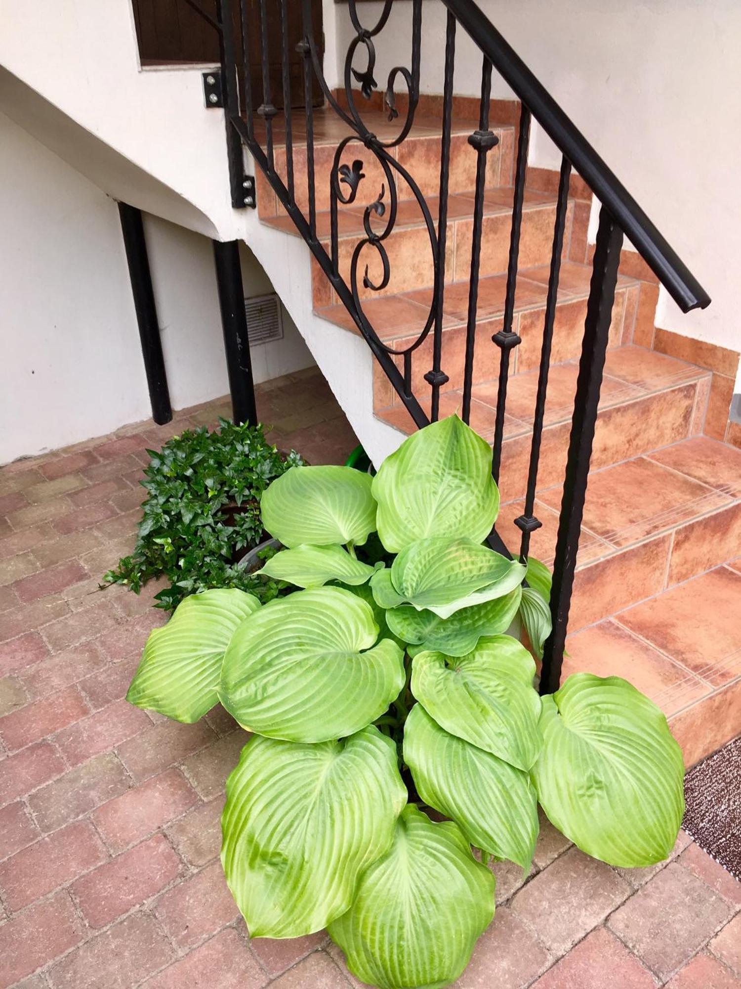 Apartmany U Vavrince Sušice Exterior foto